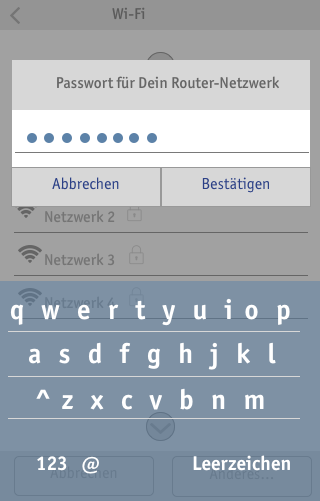 seite3_1_wifi_mitpw_routernetzwerk.png